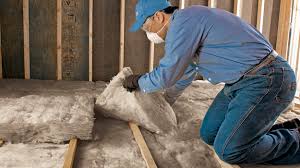 Best Eco-Friendly or Green Insulation Solutions  in Bristol, TN